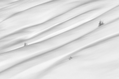 a_9