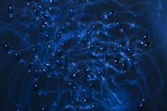 20170005815013306