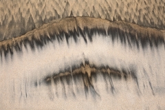 20170000657000542