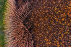 20170007487014228