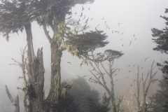Andrea Pozzi ( Italian ) - At the edge of time || Highly commended