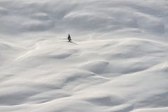 Vittorio Ricci - ITALY - Persa tra onde di neve / Lost in snow waves || Highly commended