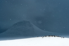 Renato Granieri - ITALY - Colonia nella bufera di neve / Colony in the storm || Highly commended