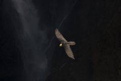 Toni Sirera Moreno - SPAIN - Sorvolando Mordor / Flying over Mordor || Highly commended