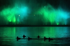 Theo Bosboom - THE NETHERLANDS - Morette, raggi laser e fuochi d'artificio / Tufted ducks, laser beams and fireworks || Highly commended