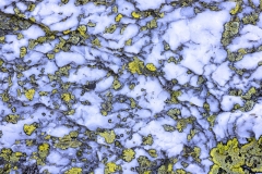 Bernhard Schubert - AUSTRIA - Silice contro licheni / Silica versus lichens || Highly commended