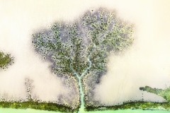 Pesquero Jose - SPAIN - L'albero / The tree || Highly commended