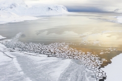 Gilardini Daisy - SWISS - Fiordo ghiacciato / Frozen fjord || Highly commended
