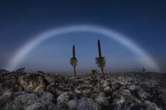 Roberto Marchegiani - ITALY || Category winner