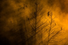 Katarzyna Gubrynowicz, Poland - Highly commended