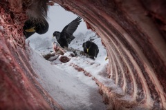 Philipp Egger, Italy - Highly commended