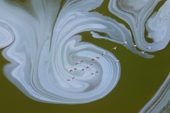 Maurizio Tentorio, Iyìtaly - Highly commended