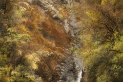 Soumya Ranjan Bhattacharyya, India - Highly commended