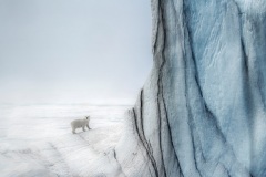 Marco Gaiotti, Italy - Highly commended