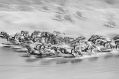Xuejun Long, Cina - Highly commended