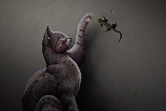 Gianluca Damiani, Italy - Highly commended