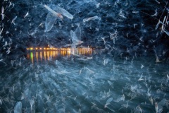 Imre Potyo, Hungary - Highly commended