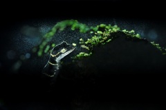 Soumya Ranjan  Bhattacharyya, India - Highly commended