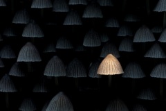 Andrey Kuznetsov, Russia - Highly commended