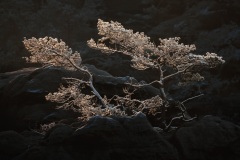 Tobias Richter, Germany - Highly commended