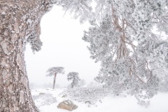 Juan Pablo Plaza Pozo, Spain - Highly commended