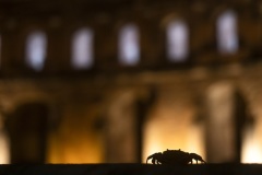 Gianluca Damiani, Italy - Category winner