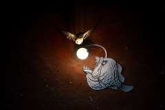 Gianluca Damiani, Italy - Category winner