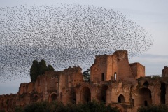 Gianluca Damiani, Italy - Category winner