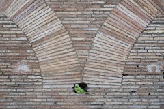 Gianluca Damiani, Italy - Category winner