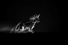 Hira Punjabi, India - Highly commended