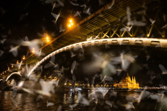 Enikő Kálovics, Hungary - Highly commended
