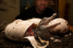 Luca Eberle, Italia - Category winner